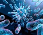 desinfection_sterilization